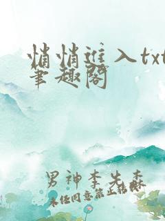 悄悄进入txt笔趣阁
