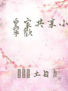 皇家共享小公主宁欢