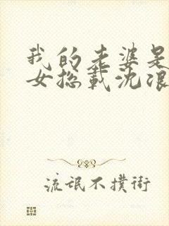 我的老婆是冰山女总载沈浪