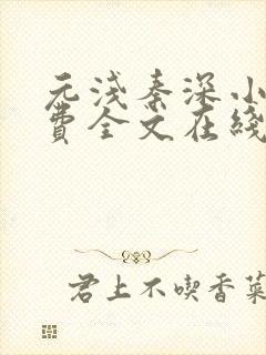 元浅秦深小说免费全文在线