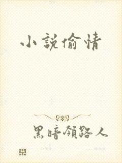 小说偷情