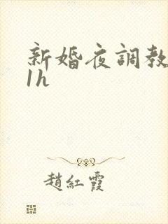 新婚夜调教1v1h
