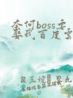 奈何boss要娶我百度云