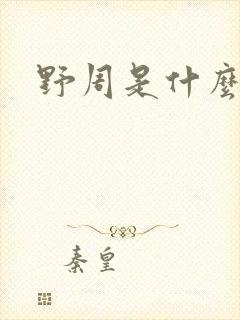 野周是什么意思