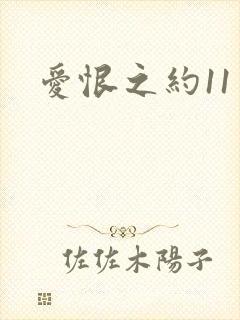 爱恨之约11