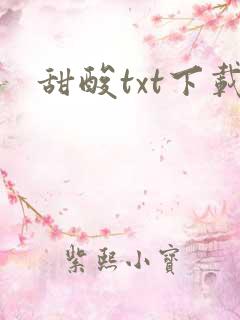 甜酸txt下载