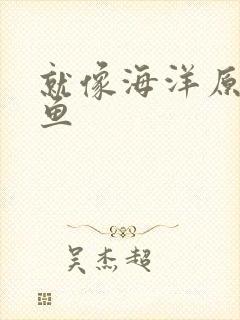 就像海洋原谅了鱼