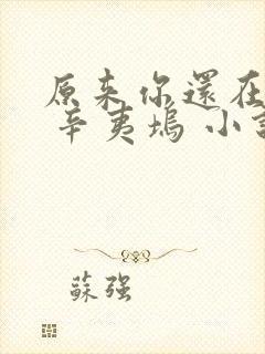 原来你还在这里 辛夷坞 小说