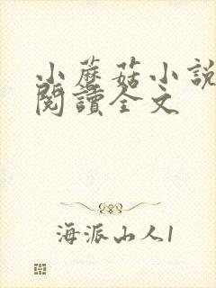 小蘑菇小说免费阅读全文