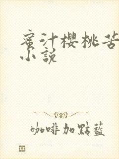 蜜汁樱桃苦咖啡小说