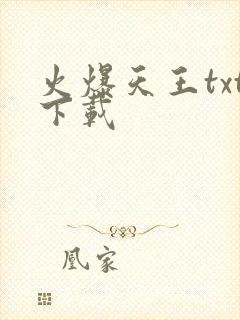 火爆天王txt下载