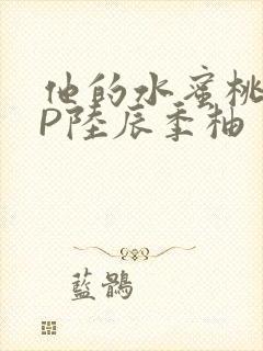 他的水蜜桃POP陆辰季柚