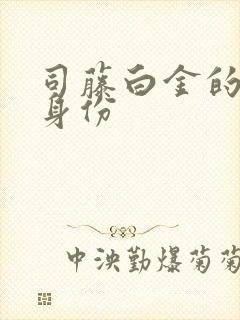 司藤白金的真实身份