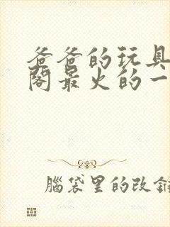 爸爸的玩具笔趣阁最火的一句