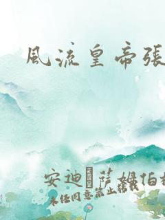 风流皇帝张无忌