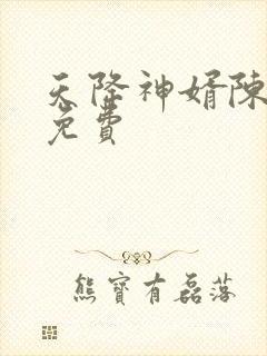 天降神婿陈黄皮免费