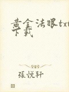 黄金法眼txt下载