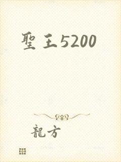 圣王5200