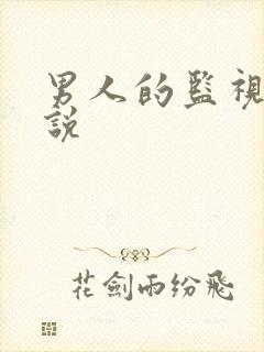 男人的监视下小说