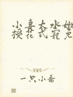 小妻太水嫩陆教授花式宠免费阅读 小说