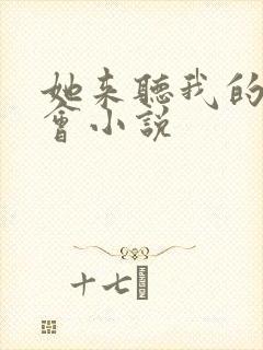 她来听我的演唱会小说