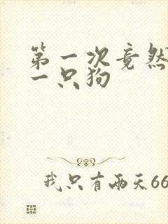 第一次竟然给了一只狗