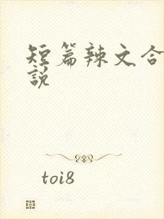 短篇辣文合集小说