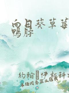 向日葵草莓丝瓜鸭脖