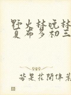 野火林晚林潮生夏布多初三边缘