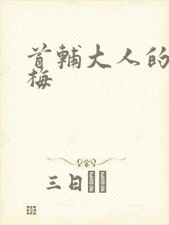 首辅大人的小青梅