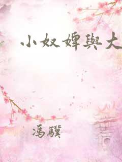 小奴婢与大少爷