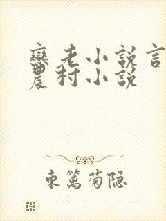 恋老小说言情网农村小说