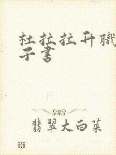 杜拉拉升职记电子书