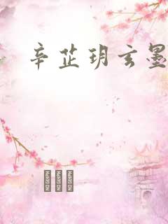 辛芷玥玄墨小说