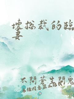 坏总裁的临时娇妻