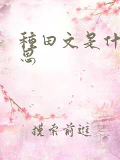 种田文是什么意思