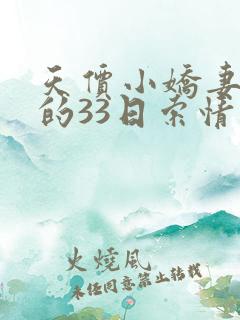 天价小娇妻总裁的33日索情