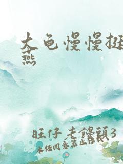 大龟慢慢挺进张燕