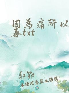 因为痛所以叫青春txt