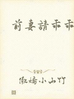 前妻请乖乖就范