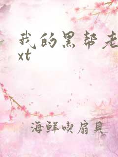 我的黑帮老公txt