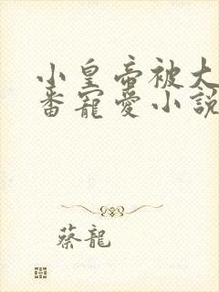 小皇帝被大臣轮番宠爱小说