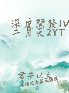 深度开发1V3二月天2YT