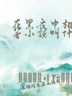 在黑夜中相拥原著小说叫什么