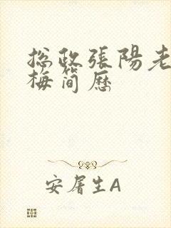 总政张阳老婆吕梅简历