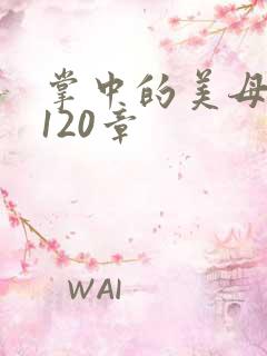 掌中的美母版主120章