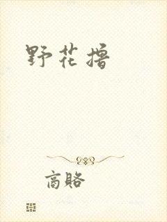 野花撸
