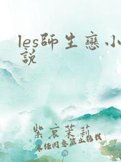les师生恋小说