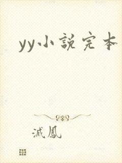 yy小说完本