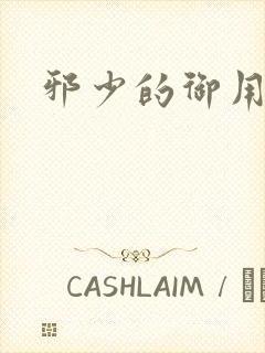 邪少的御用恋人